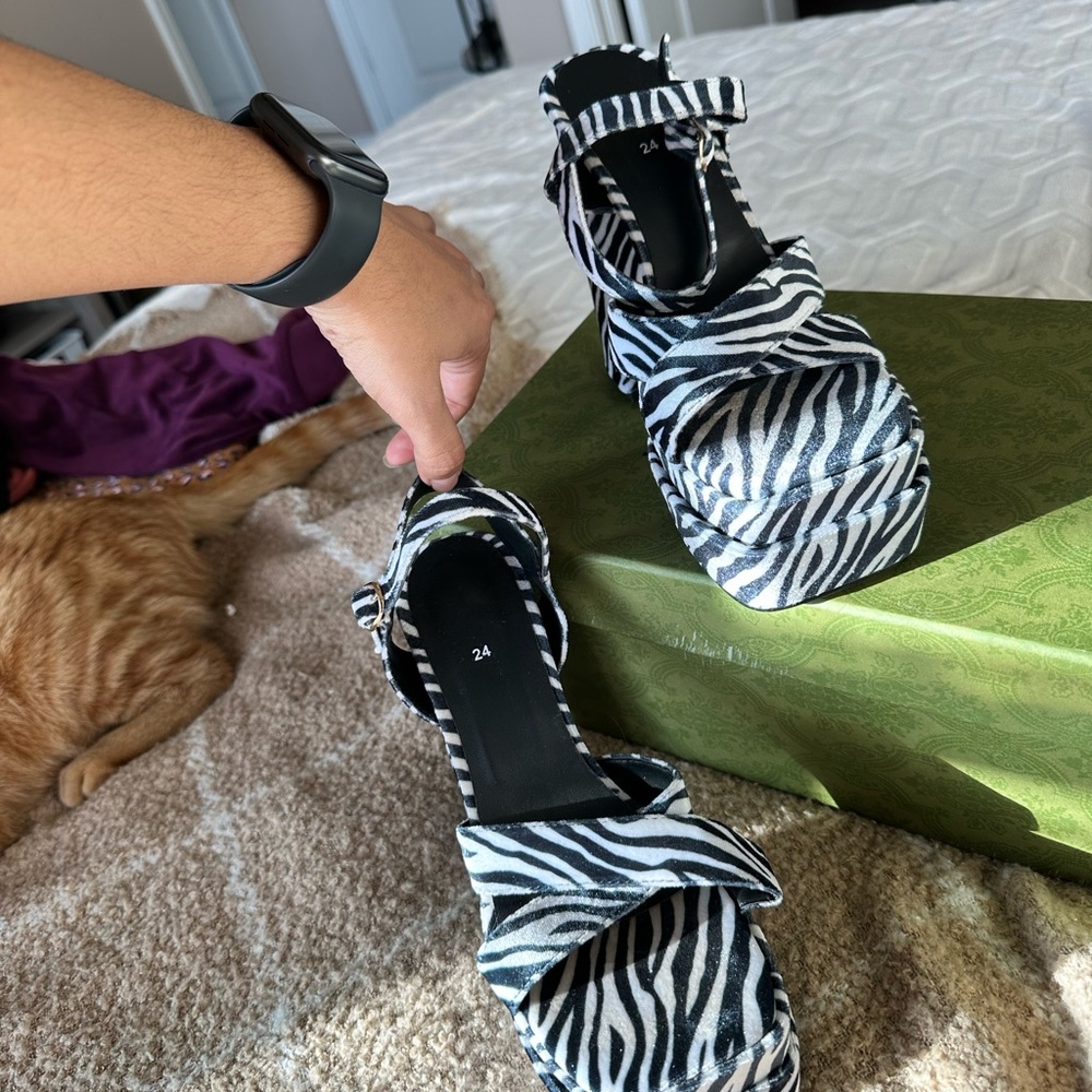 Zebra🦓 - Picture 2 of 3